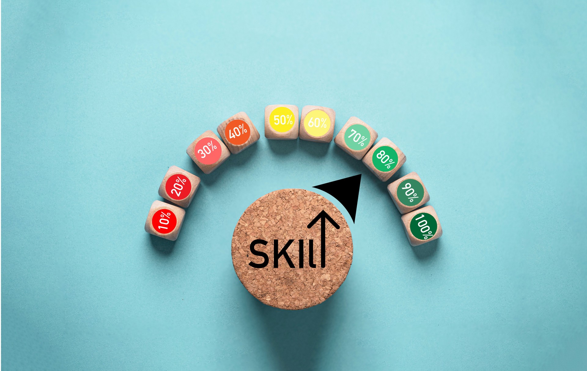 Skill indicator rating level button with percentage for human development and enhance knowledge improvement to success business working concept.